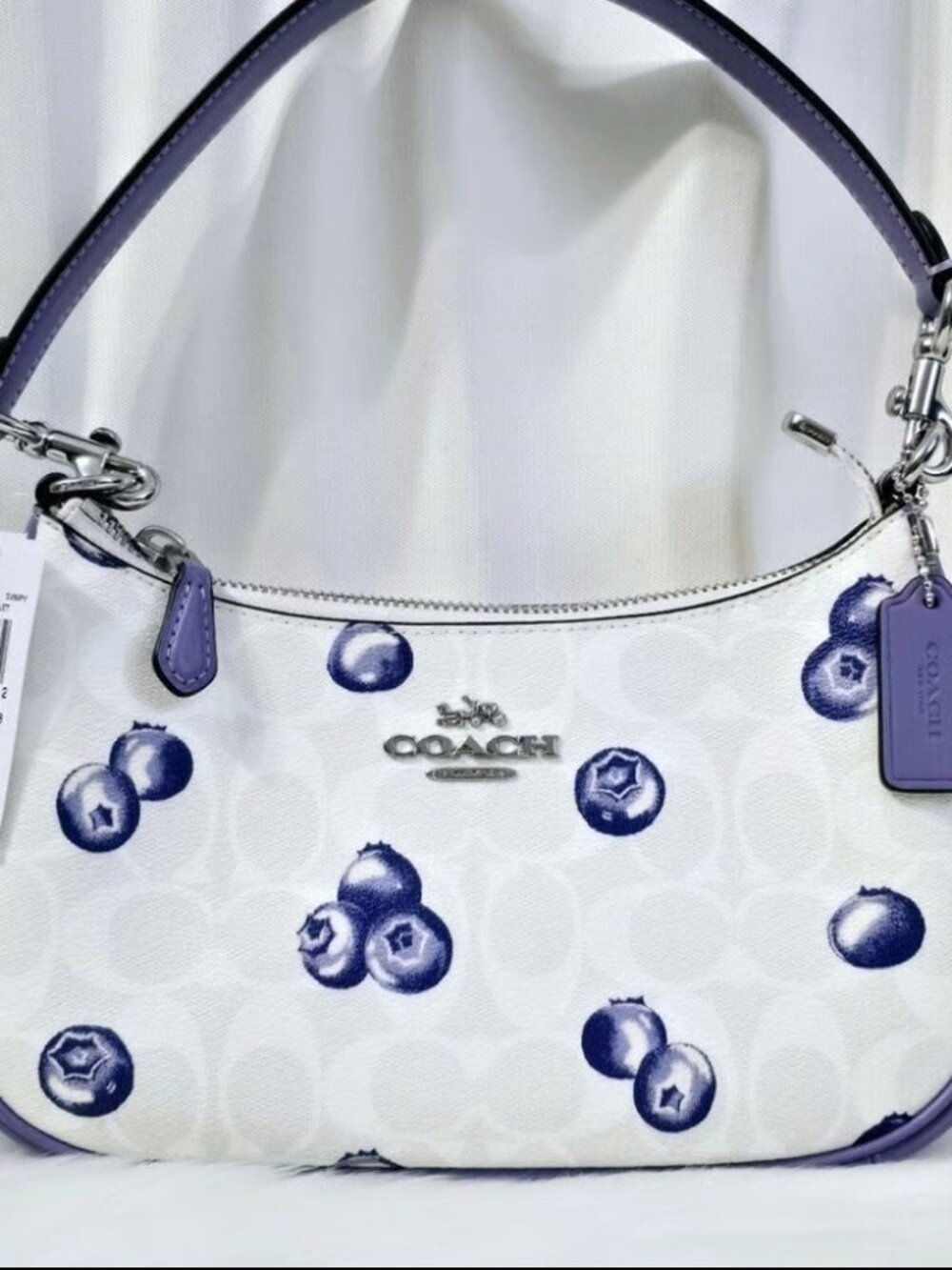 COACH TERI Shoulder Bag In Signature Canvas With Blueberry Print